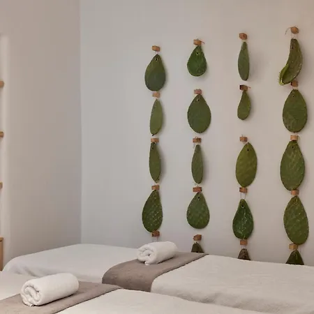 Villa Naxian Rhapsody Luxury Stelida (Naxos)