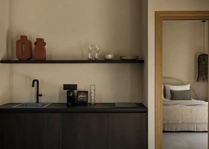 Naxian Rhapsody 5* Stelida (Naxos)