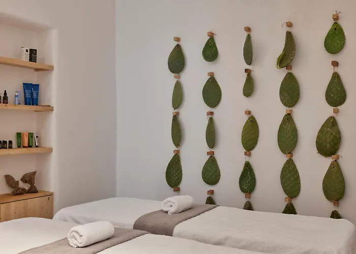 Otel Naxian Rhapsody Stelida (Naxos)