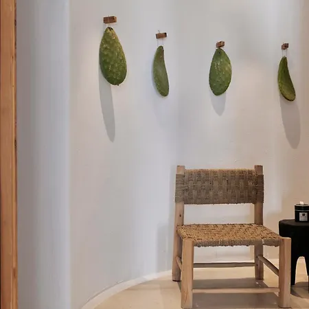 Naxian Rhapsody Luxury Vila
