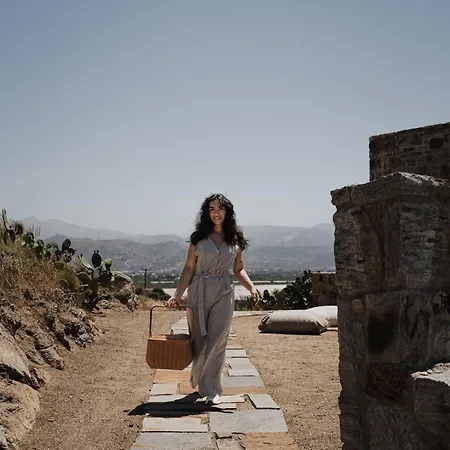 Naxian Rhapsody Luxury Vila Stelida (Naxos)